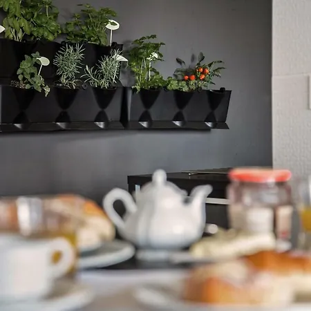 Villa House Gallery 10 *